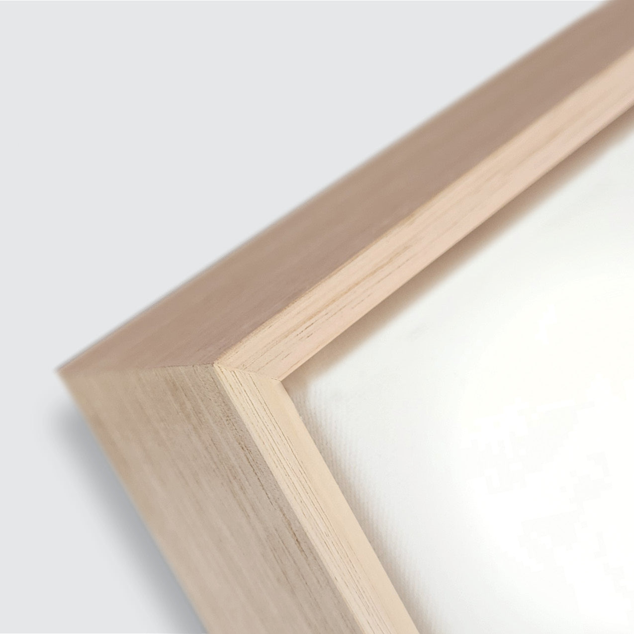 DESERT WESTERN PEBBLE MOUSE - Framed Canvas Print - Limited Edition