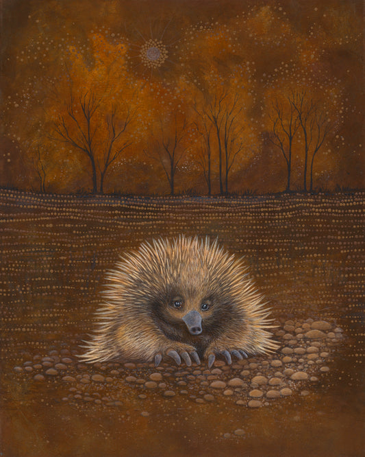 ECHIDNA SPIRIT COUNTRY - Print - Limited Edition