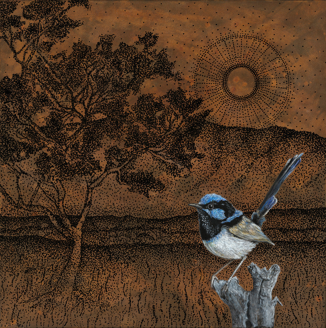 SUPERB FAIRY WREN - Limited Edition Art Print