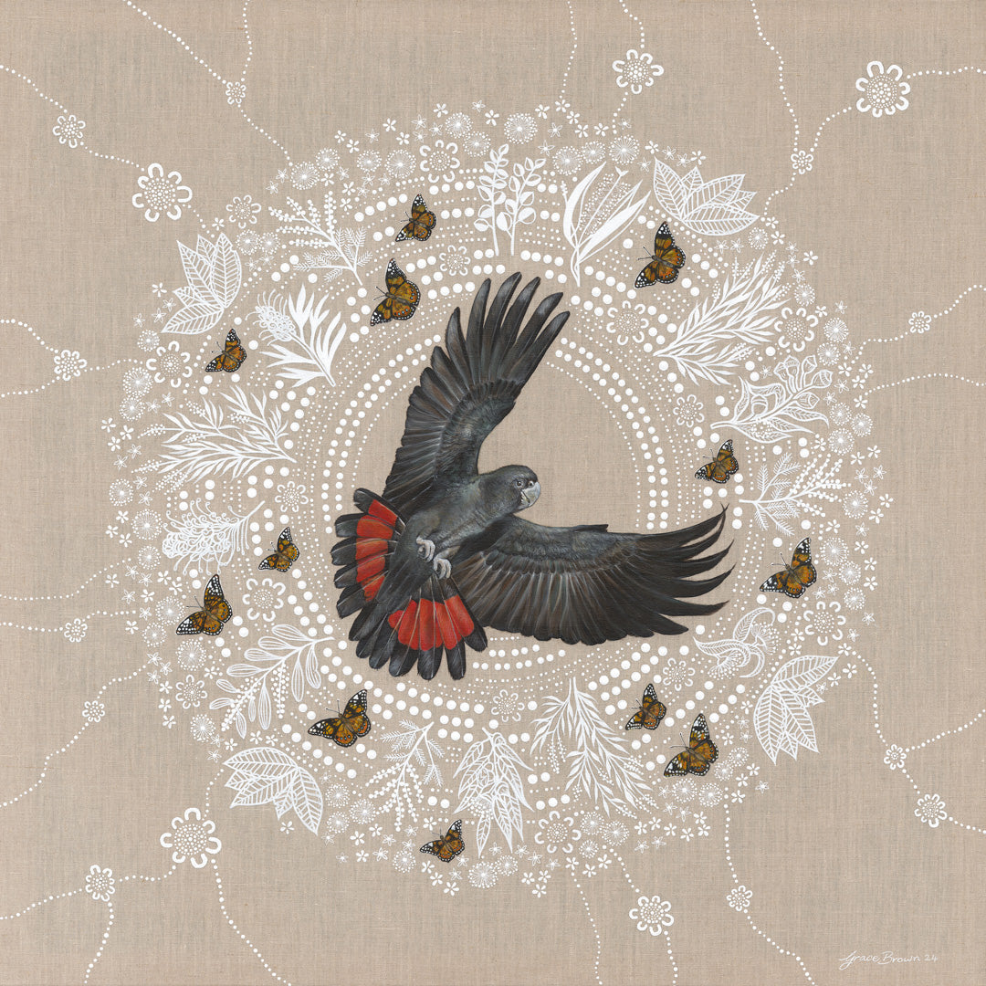 RED TAILED BLACK COCKATOO 2 - Print - Limited Edition