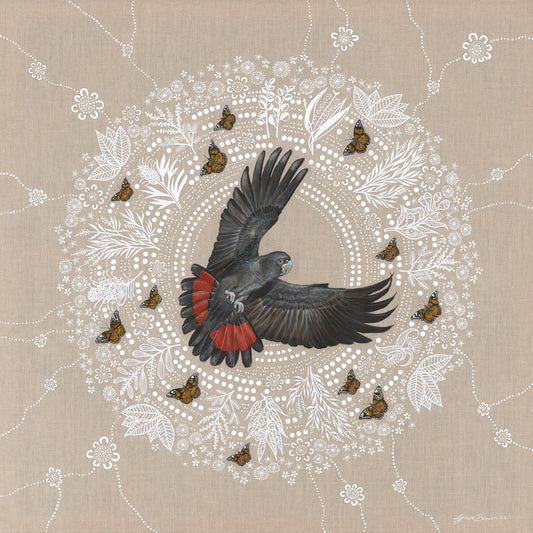 RED TAILED BLACK COCKATOO 2 - Print - Limited Edition