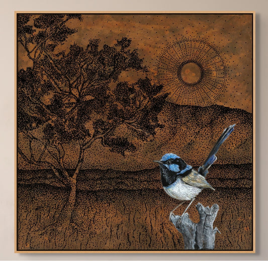 SUPERB FAIRY WREN - Framed Canvas Print - Limited Edition